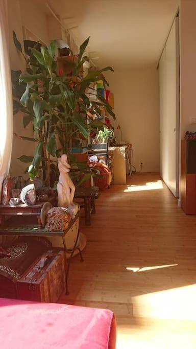 Excellent Totalement Renove