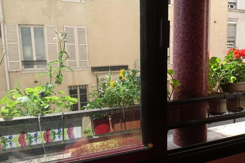 Excellent Totalement Renove Appartement